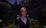 Tera_screenshot_20110118_051231