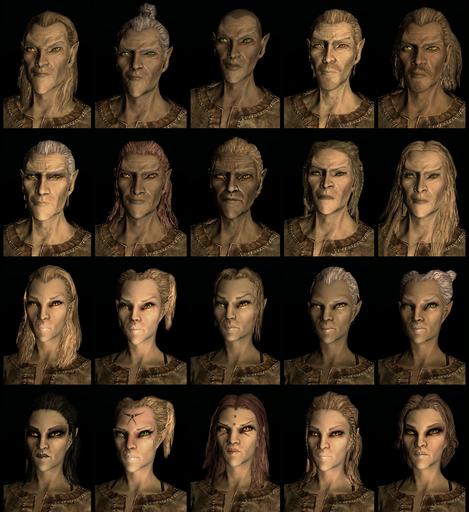 Elder Scrolls V: Skyrim, The - The Races and Faces of Skyrim