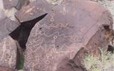 Greaser_petroglyph_site_-_adel_oregon