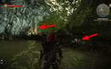 Witcher2_2013-02-24_21-21-36-82-1